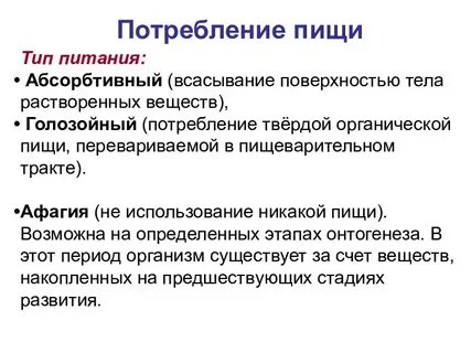 Голозои примеры