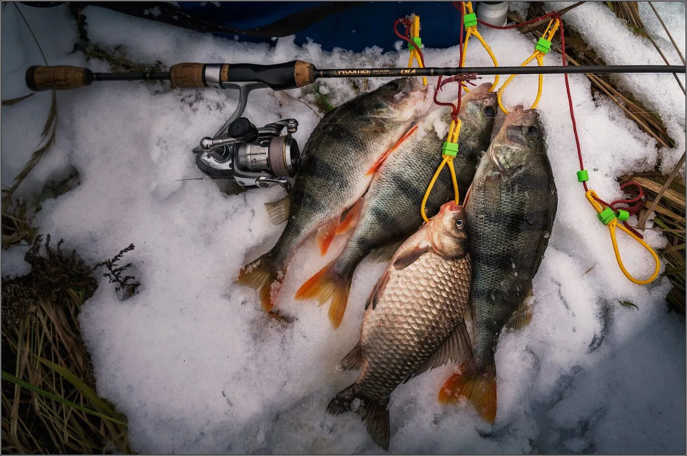 Зимняя рыбалка. Рыбалка фото. Спиннинг для зимней рыбалки. Зимняя рыбалка фон.
