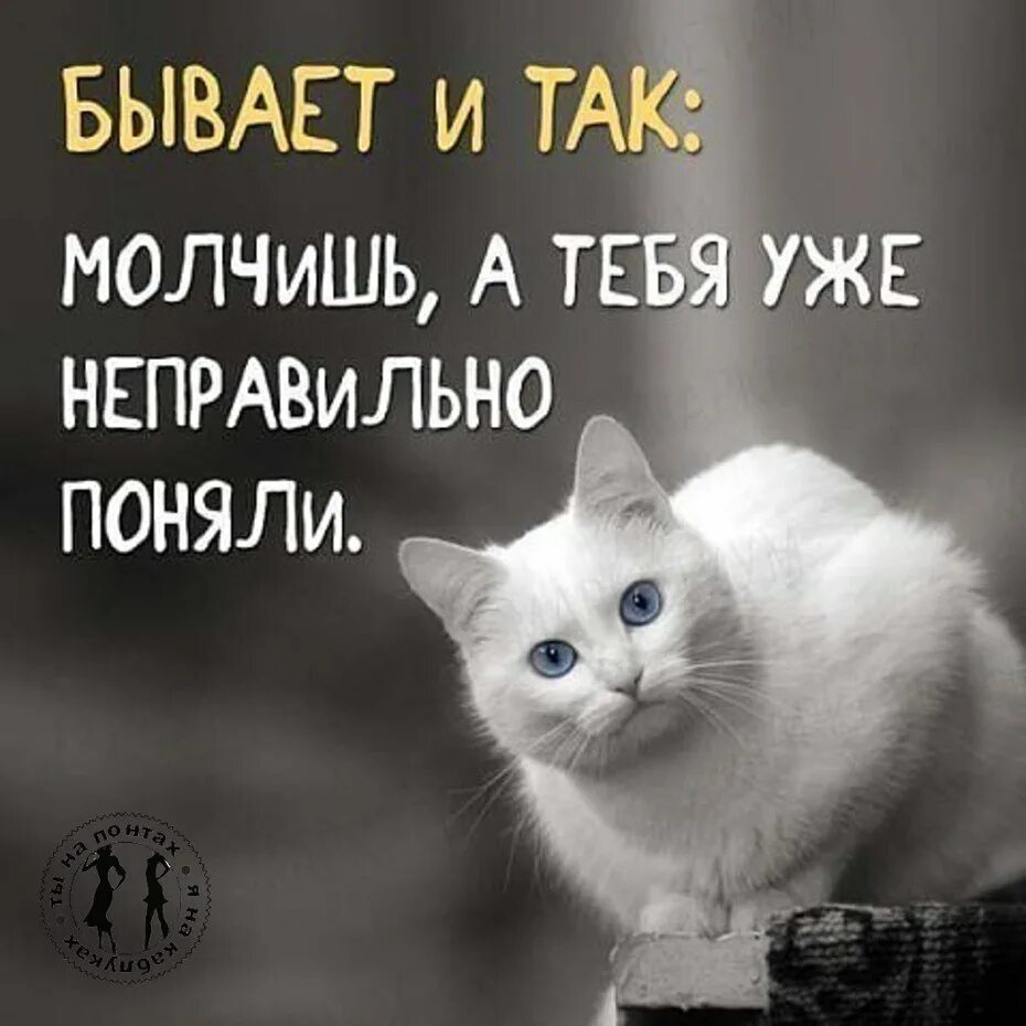 Ты молчишь и ничего. Бывает и так молчишь а тебя уже неправильно. молчишь а тебя уже неправильно поняли. мысли вслух смешные. бывает и так молчишь а тебя уже неправильно поняли картинки.