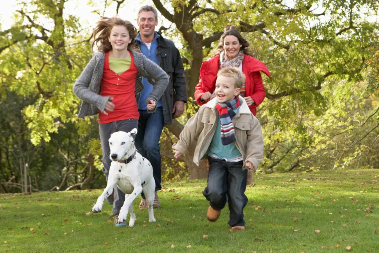 Прогулки на свежем воздухе с собакой. Гулять с собакой всей семьей. Семейные традиции гулять. Английская семья обычная.