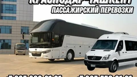 Котельники ташкент автобус