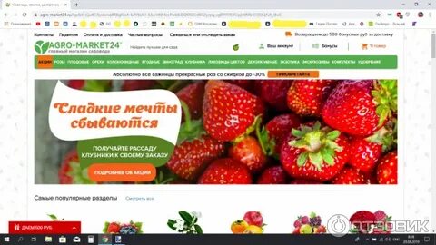 Агромаркет 24 саженцы каталог на 2024 осень