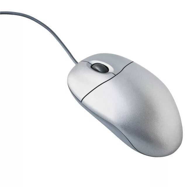 Мышка для информатики. Мышь это в информатике. Мышка без колеса прокрутки. Компьютерная мышка jpeg. Мышь информатика 7 класс