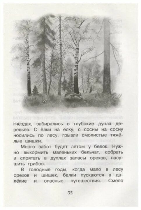 Текст соколов микитов. Соколов микитов стихи. Зимний лес соколов микитов. Ночь в лесу рассказ. Соколов-микитов зимняя ночь текст.