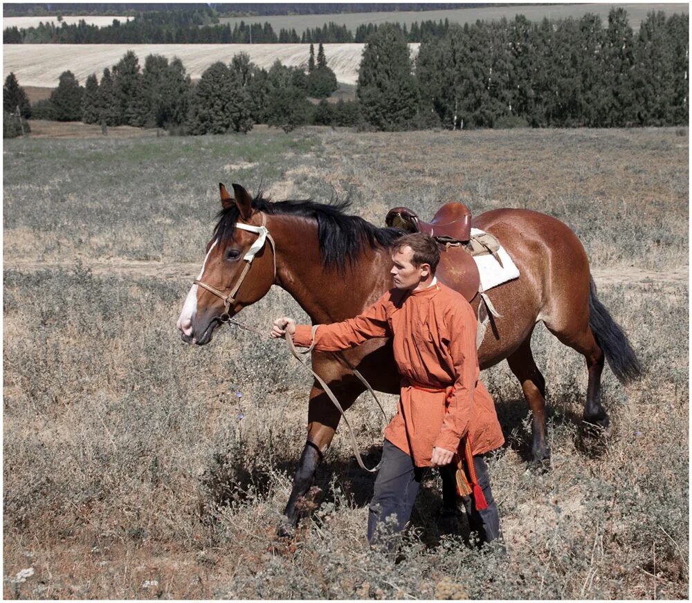 Песня конь по полю идет слушать. Фотосессия с лошадьми. Человек рядом с лошадью. Человек конь.