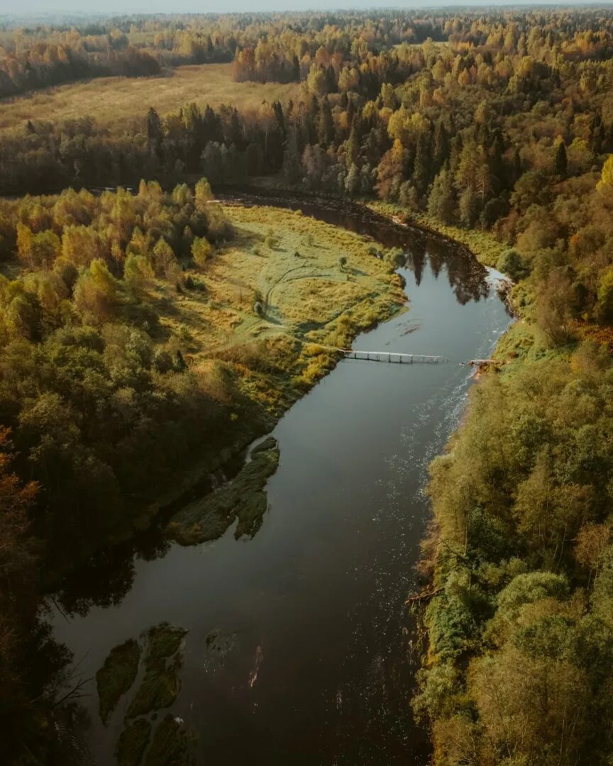 Река сить русь. Село красное Некоузский район Ярославская область. Река Сутка Ярославской области. Реки Некоузского района. Лопатино Некоузский район.