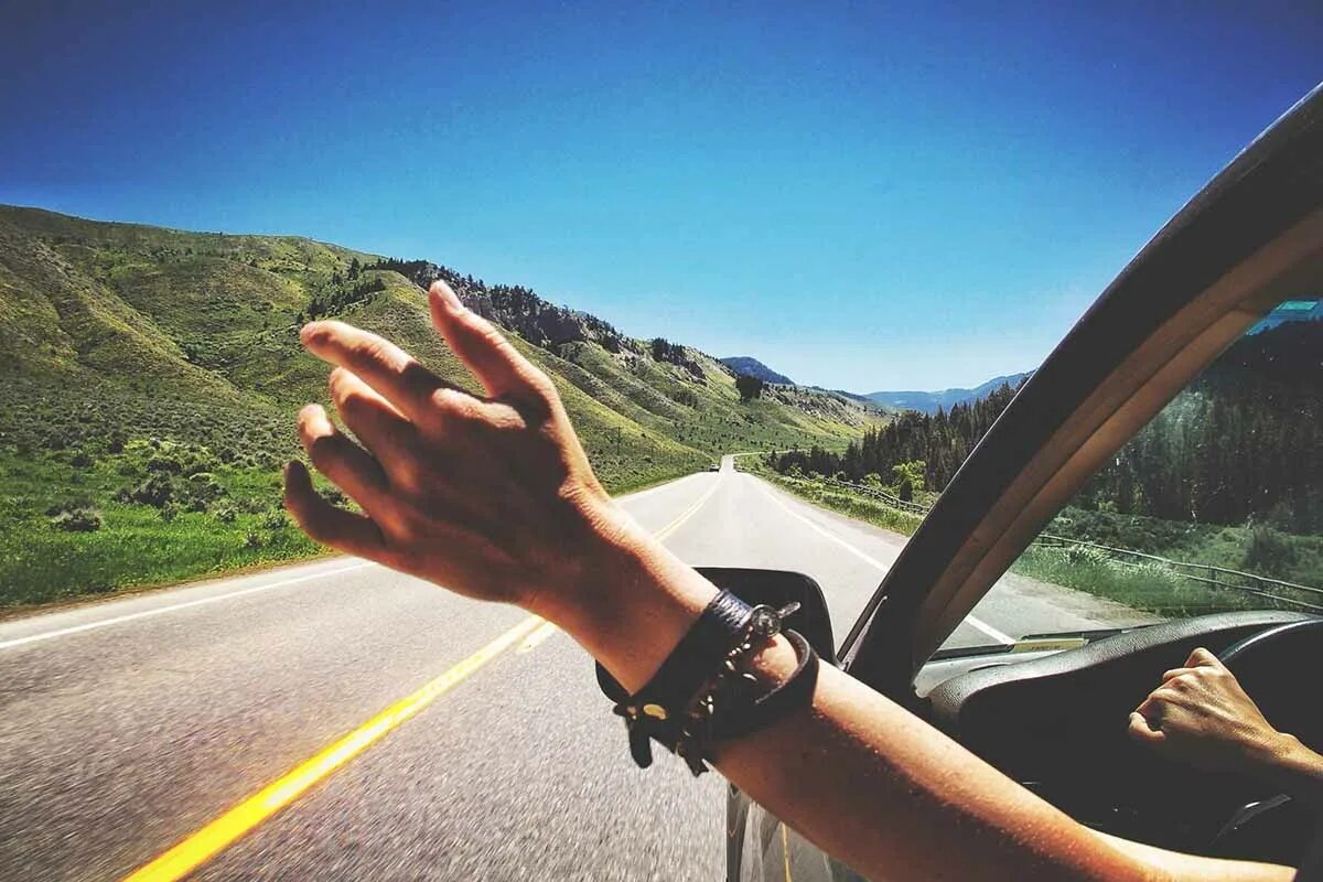 Trip let s go