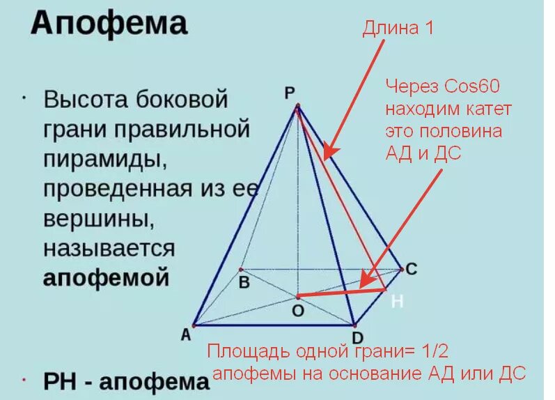 Половина произведения периметра основания на апофему. Элементы пирамиды геометрия. Пирамида стереометрия формулы.