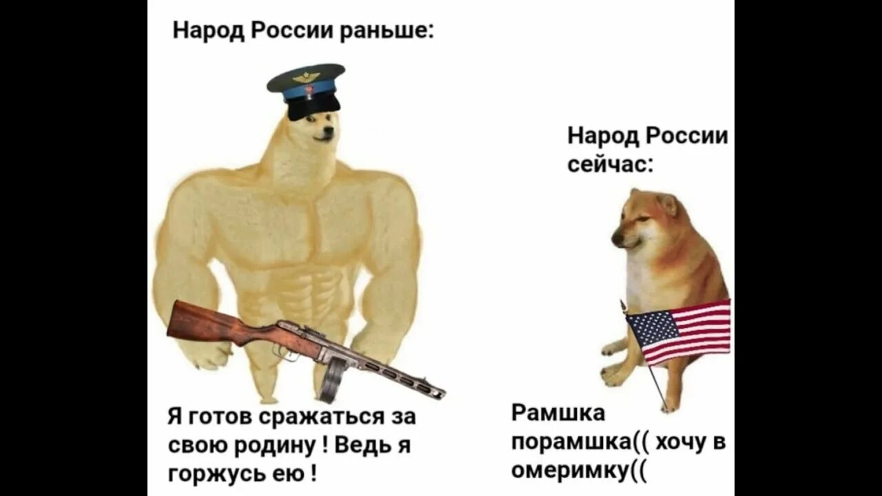 Доге качок. Doge качок. Сильный и слабый доги. Собака качок Мем. Сильная и слабая собака.