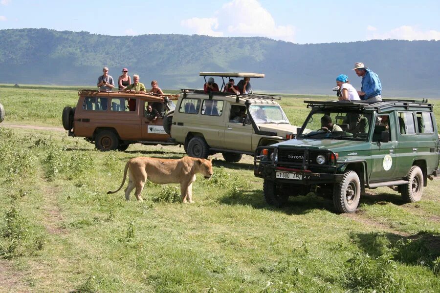 Хонда сафари мотоцикл. True safari детская обувь hw19105. Детские ботинки сапожки true safari. 4 допуски. Сафари 25.