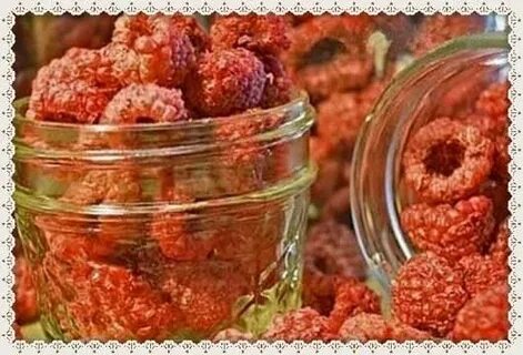 Как засушить малину