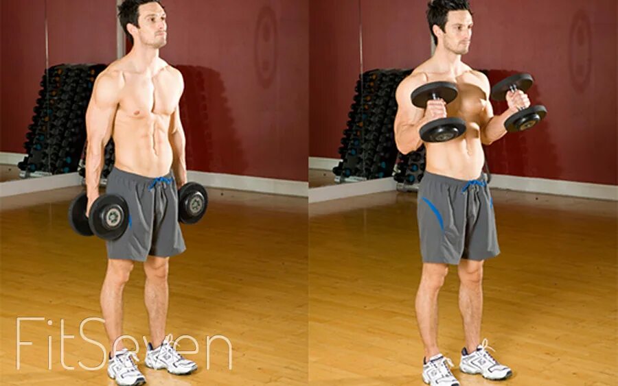 Упражнение сгибание рук с гантелями стоя. Подъем гантелей на бицепс хватом «молот». Подъем гантели на бицепс «молот». Подъем гантелей хватом молот. Бицепс молот с гантелями.