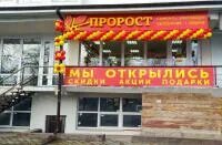 Пророст ростов на дону каталог