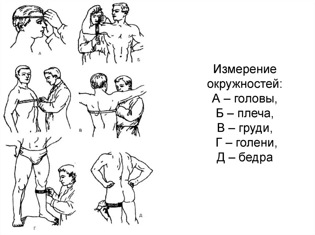 Антропометрия измерение окружности грудной клетки. Измерение окружностей головы, грудной клетки, плеча, бедра, голени. Измерение окружности бедер. Измерение окружности головы.