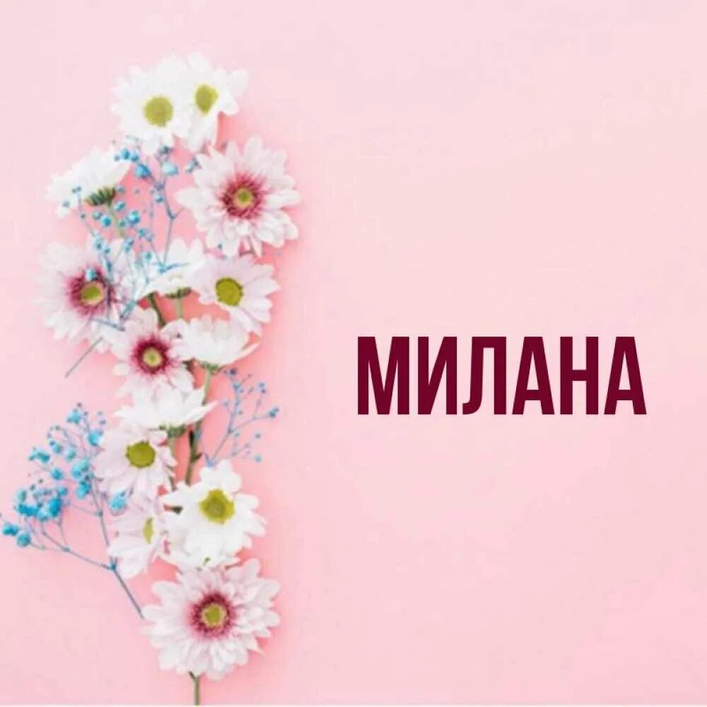 Миланочка картинки. Надпись милане. Миланочка картинки. Миланочка картинки. Открытка с днем рождения миланочка.