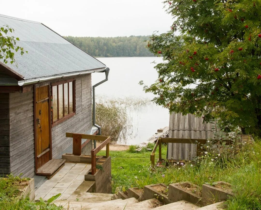 Снять дом в деревне на лето недорого. Деревня Городец Селигер. Осташков Селигер домик у озера. У Максимыча на Селигере, деревня Городец. У Максимыча на Селигере.