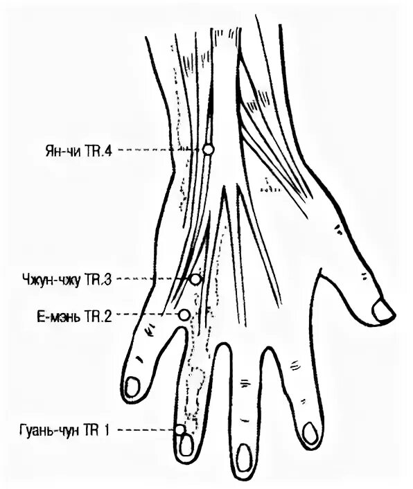 Гуань Чжун точка. Чун Мэнь точка. Тройной обогреватель точка Чжун-Чжу. Чжун Чжу точка акупунктуры. Лимфоузлы кисти