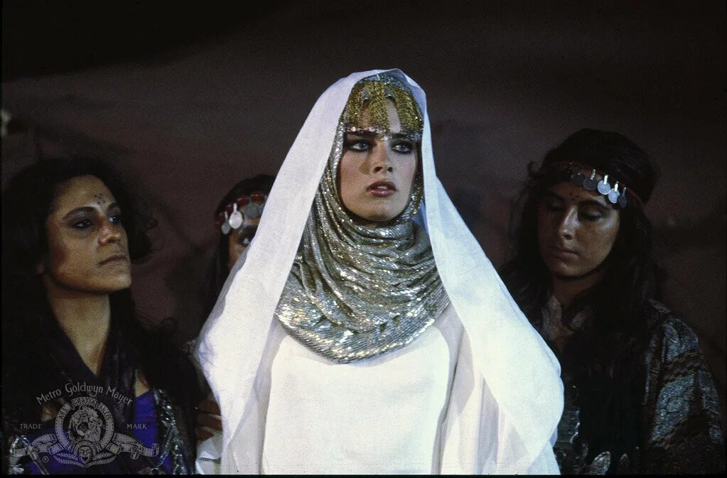 Сахара фильм 1983. Sahara 1983. Сахара 1983 смотреть онлайн. Фильм пустыня сахара 1983. Фильм сахара 2005 года.