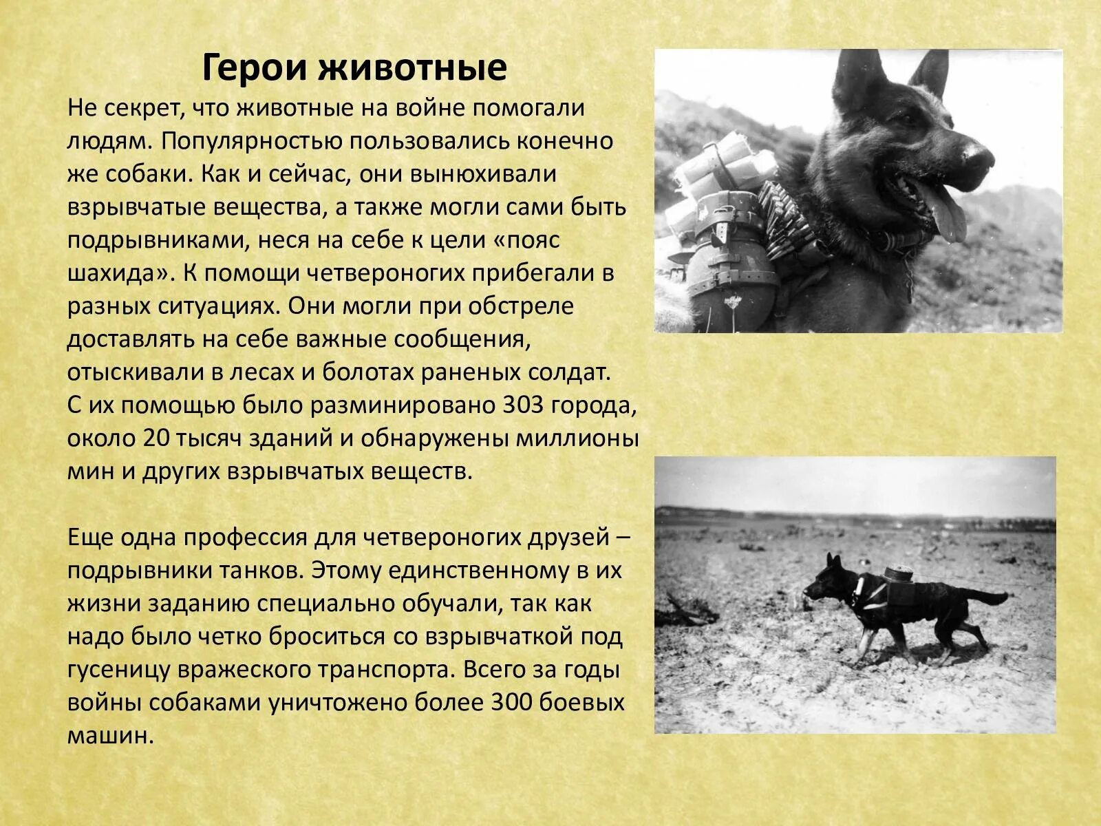 Животные герои произведений 2 класс