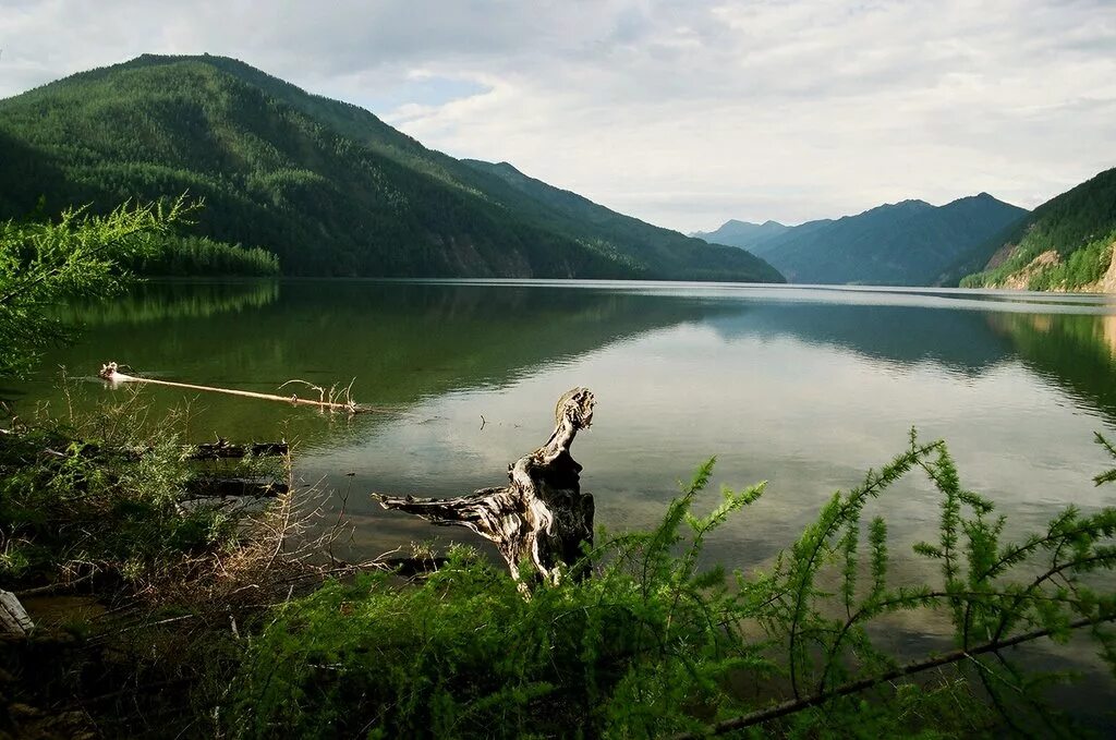 Агульское озеро Саяны. Агульское озеро Тофалария. Агульское озеро Иркутская область. Медвежье озеро Тофалария. Озеро медвежье имеющее статус памятника природы самое