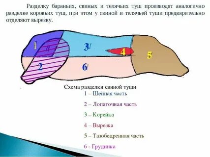Как пишется свиной или свиной
