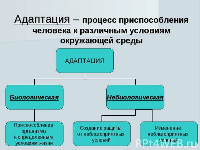 Приспособление человека к условиям среды