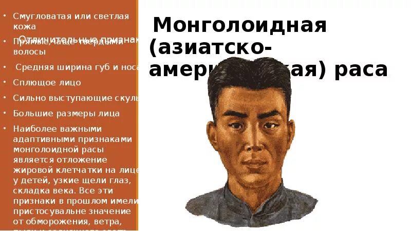 Выступающий нос характерны для какой расы. Монголоиды (Азиатско-американская раса. Американоидная раса раса. Цвет кожи монголоидной расы. Монголоидная (Азиатско-американская).
