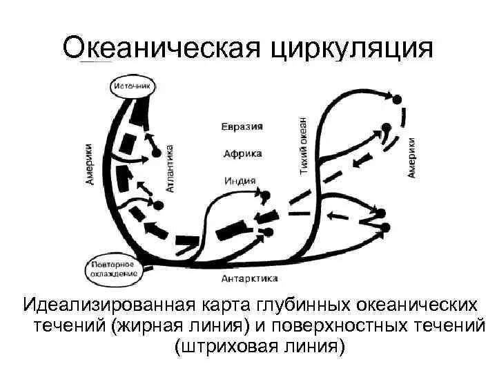 Схема течения гольфстрим. Океаническая циркуляция. Океаническая циркуляция. Схема циркуляции вод мирового океана. Термохалинная циркуляция.