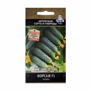 Огурцы сорта форсаж