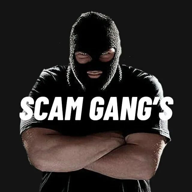 Скам ссылка. Scam ава. Scam gang. Skam ава. СКАМ аватарки.