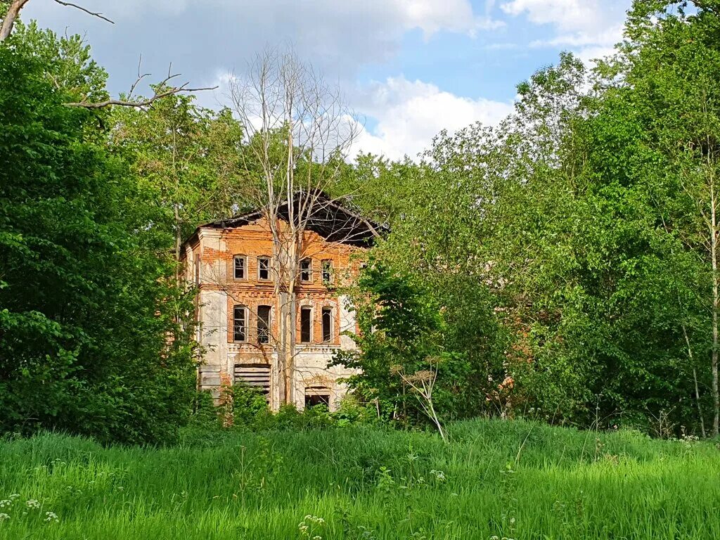 Окрестности усадьбы. Усадьба Лютка. Лютка (Ленинградская область). Усадьба Сырец Лужский район.