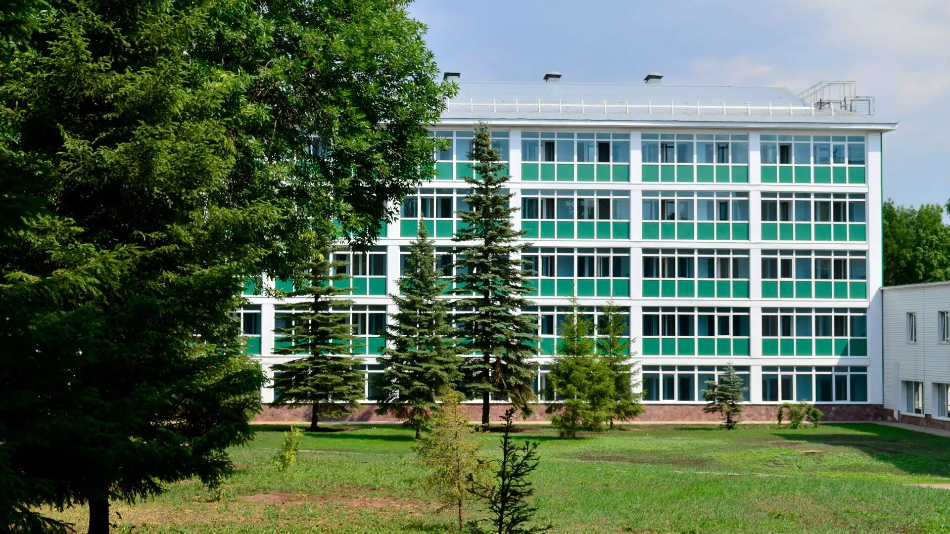 Зелёная роща санаторий омск. Зелёная роща санаторий уфа. Путевки в зеленую рощу. Фкуз санаторий зеленая роща мвд россии. Зелёная роща санаторий уфа парк.