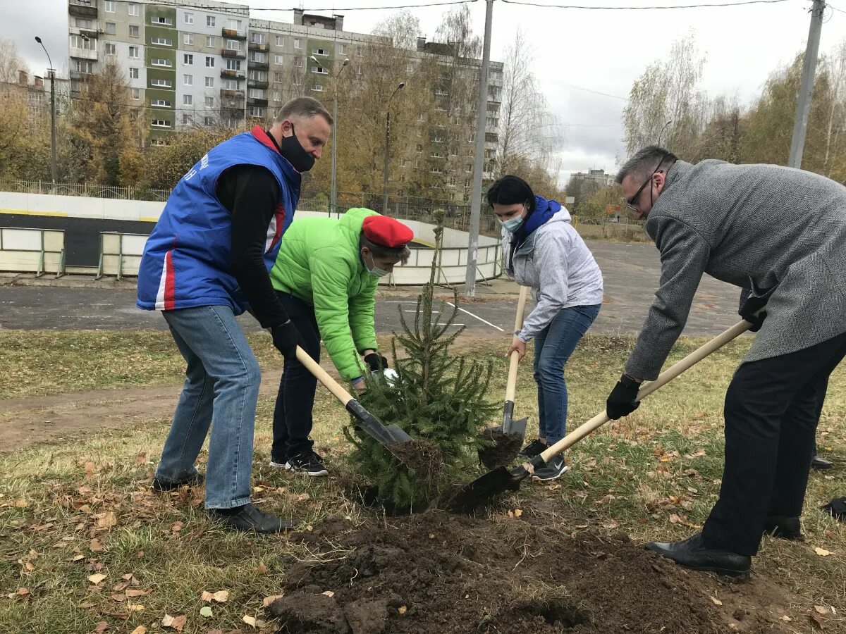 Ель на пришкольном участке. На пришкольном участке школьники сажали деревья.. ПСДКА ёлк приклубной территории. Посадка ели школьником. Включи а 4 посади