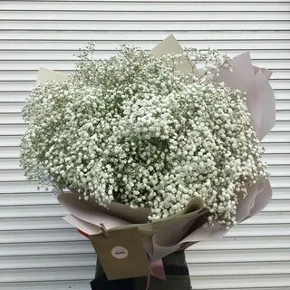 Уход за гипсофилами