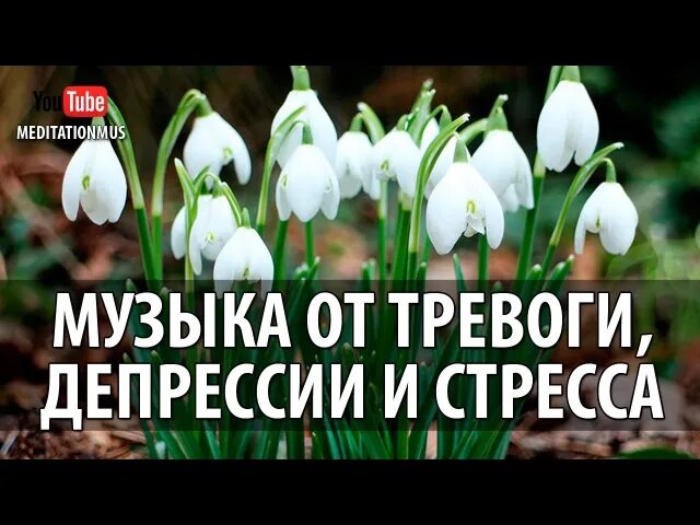 Музыка от депрессии и стресса. Музыка от депрессии. Мелодии для успокоения нервной системы. Лучшая музыка для снятия стресса