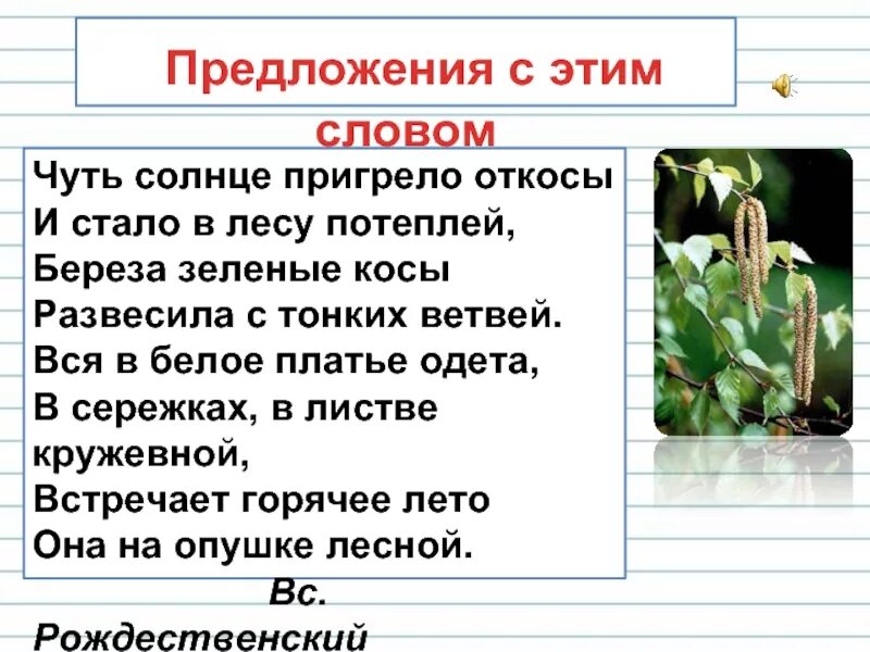Пригрело солнце предложения. Чуть солнце пригрело откосы и стало в лесу потеплей. береза чуть солнце пригрело. стих берёза чуть солнце пригрело откосы. береза чуть солнце пригрело откосы и стало в лесу потеплей.