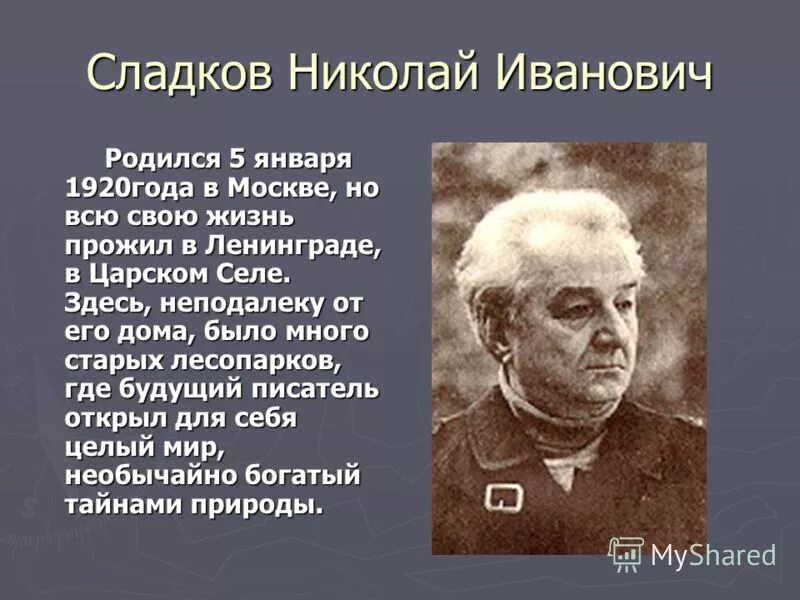 Николай иванович сладков (1920—1996). Сколько лет александру сладкову. Николай иванович сладков портрет. Николай сладков фото писателя. Сколько лет александру сладкову.