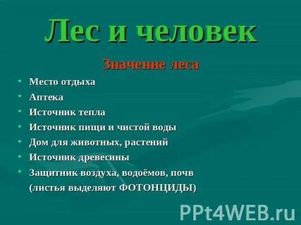 Лес защитник воздуха водоемов и почв