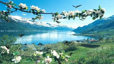 Spring views