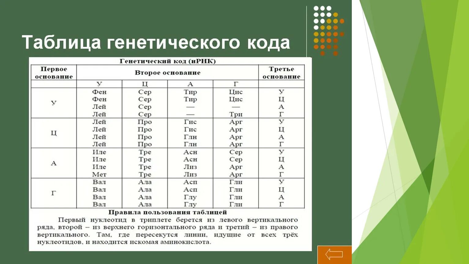 Генетический код таблица по биологии 10 класс. Таблица кодирования аминокислот ДНК И РНК. Генетический код таблица биология 10 класс. Генетический код таблица ЕГЭ биология.