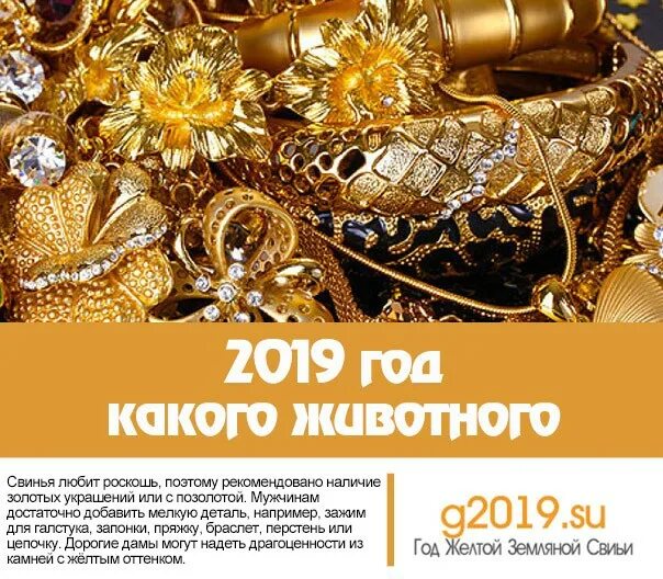 2019 Год кого. 2019 Какой год. 2019 Год по восточному календарю. 2019 Год год какого животного по восточному.