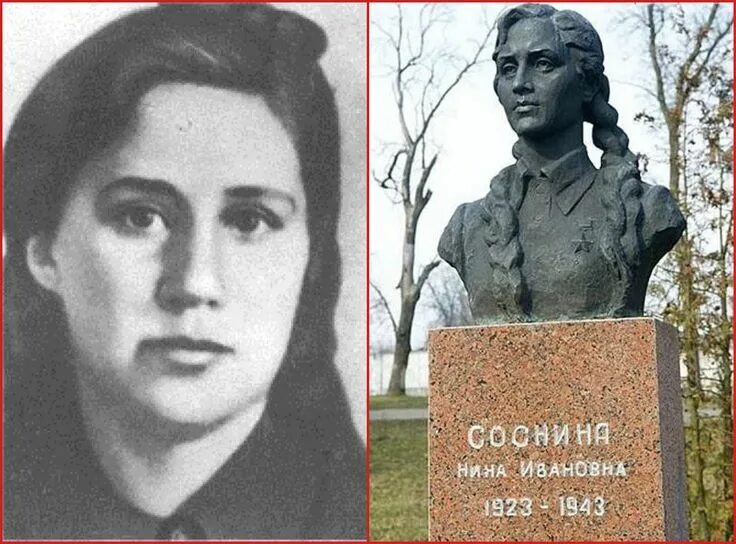 Нины строкатой. Нины строкатой