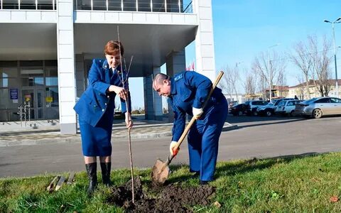 Кореновск 2024