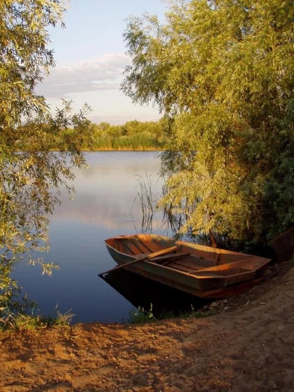 Лодка на реке. Лодка на озере. Берег реки с лодкой. Пейзаж с лодкой. Березовая лодка