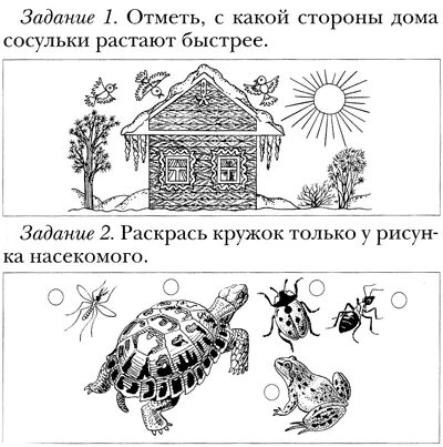 Помоги с заданием окружающий мир