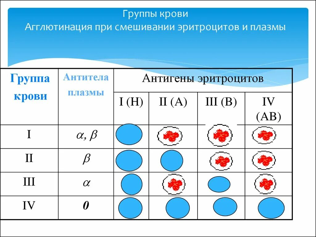 Группы крови подходящие друг другу. Таблица агглютинации групп крови. Агглютинация 4 группы крови. Смешивание групп крови таблица. Агглютинация 2 группы крови.