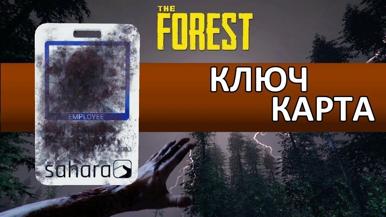 Forest где ключ карта. Карточка Forest. The Forest ключ карта. Карта the Forest. Ключ карта от бункера Форест.