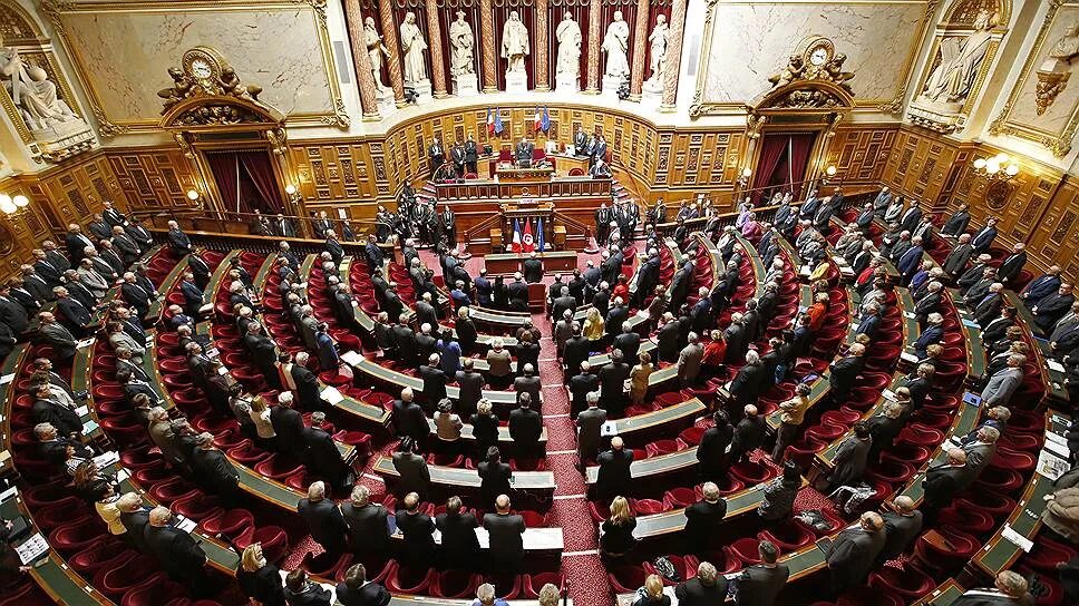 Парламент какой год. Верхняя палата парламента Франции. Сенат, верхняя палата парламента. Сенат (верхняя палата парламента) Чехии. Двухпалатный парламент Франции.