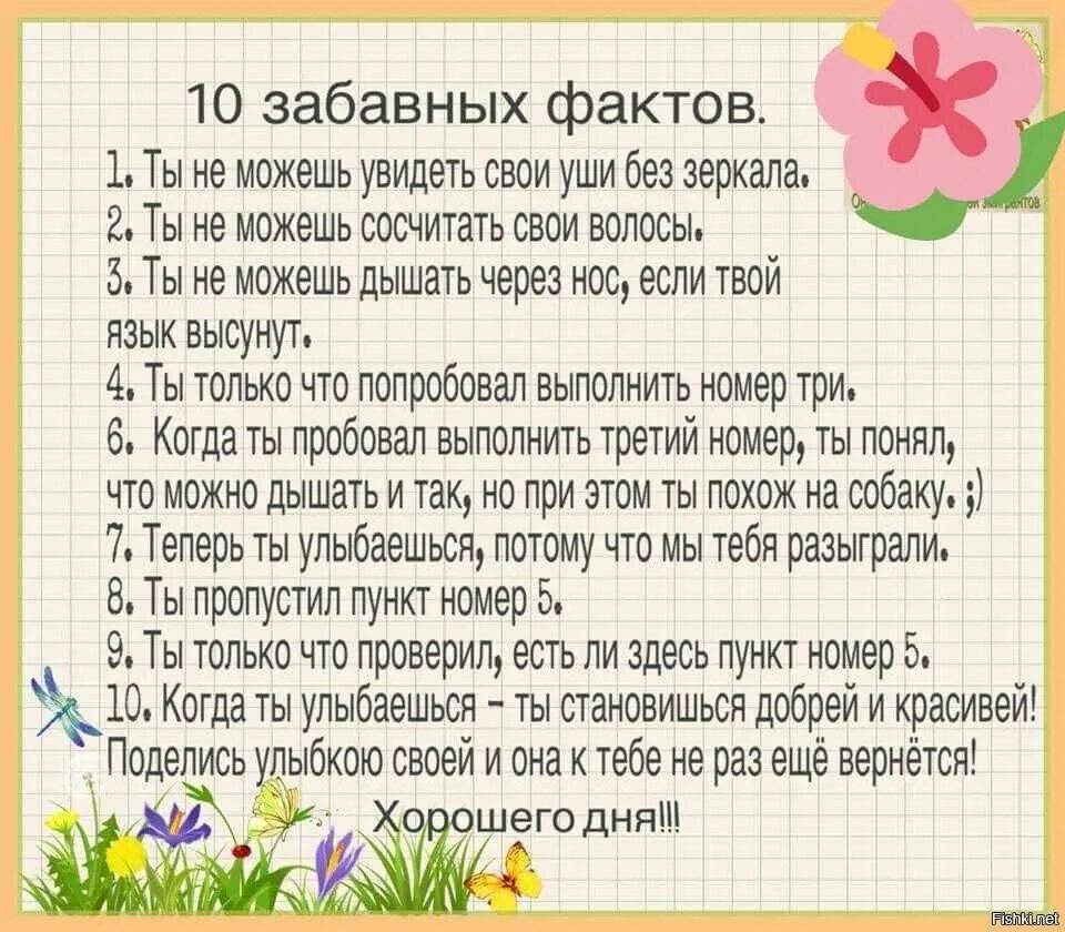 Три интересных факта