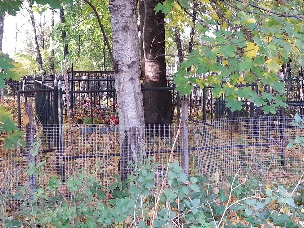 кладбище фенино железнодорожный. голицынское кладбище балашиха. фенинское кладбище. фенинское кладбище балашиха. фенинское кладбище балашиха.